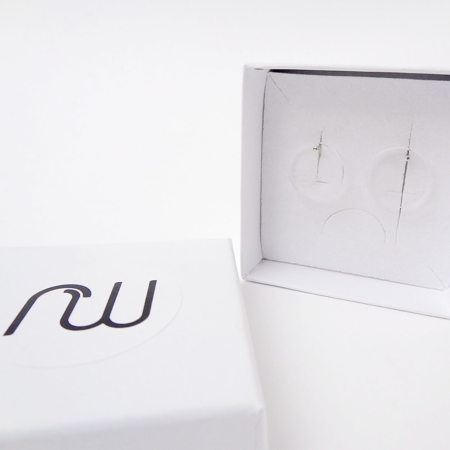 Daphne | transparent disc ear studs